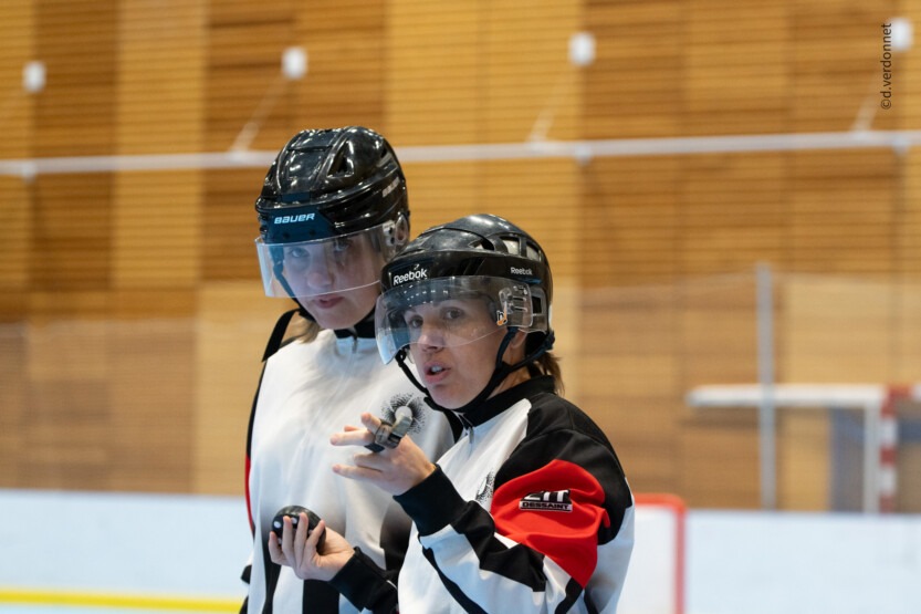 Appel à Candidature &#8211; Engagement dans l&rsquo;arbitrage Roller Hockey