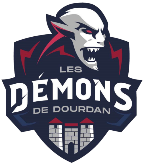 Entraineur jeunesse de roller hockey